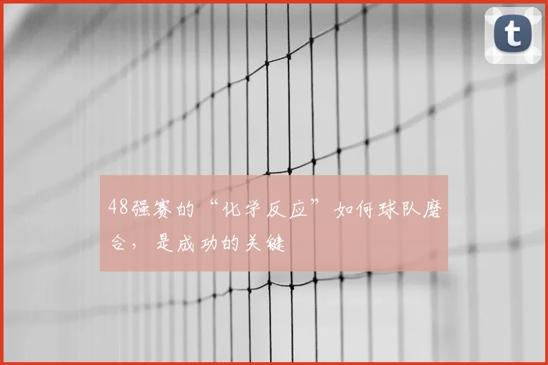 48强赛的“化学反应”如何球队磨合,是成功的关键