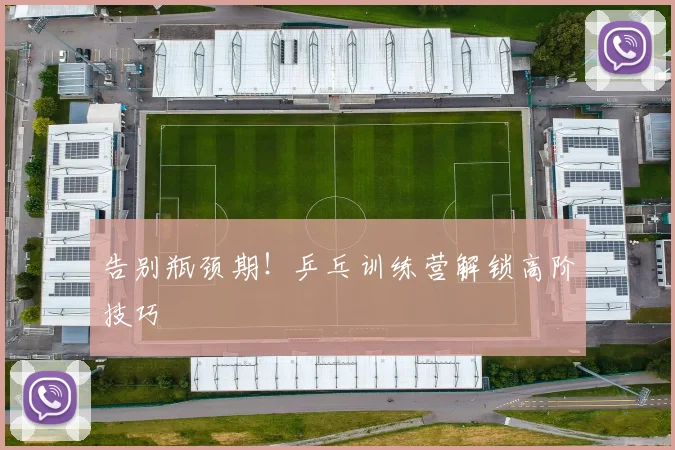 告别瓶颈期!乒乓训练营解锁高阶技巧