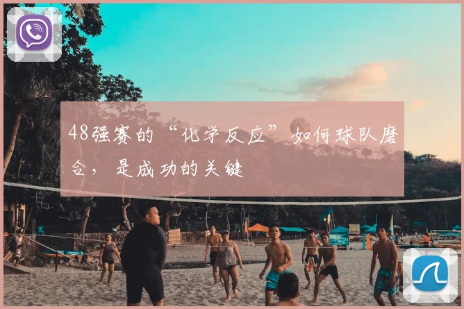 48强赛的“化学反应”如何球队磨合,是成功的关键