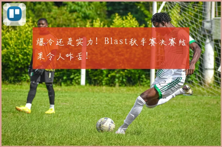 爆冷还是实力!Blast秋季赛决赛结果令人咋舌!