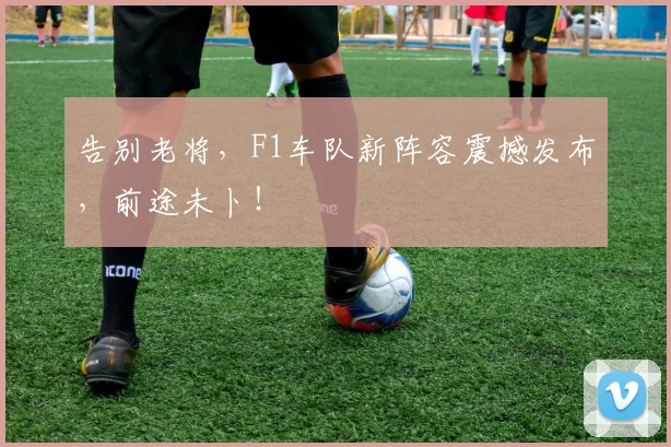 告别老将，F1车队新阵容震撼发布，前途未卜！